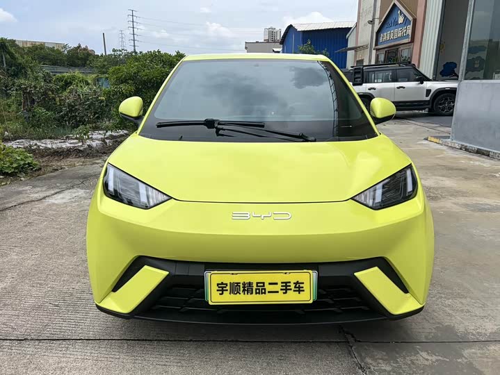 Фото 2 - BYD Seagull