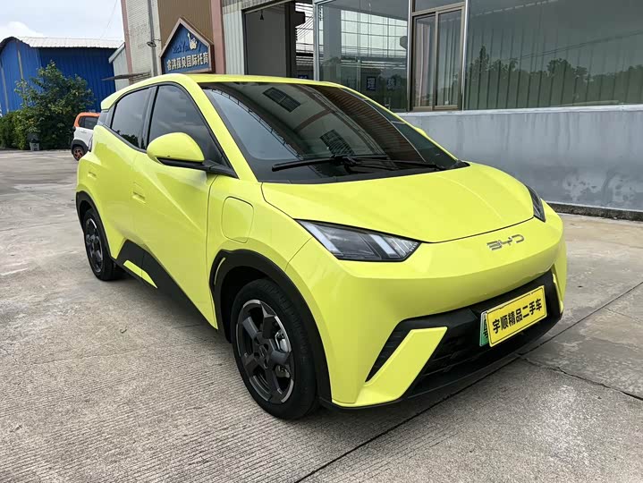 Фото 3 - BYD Seagull