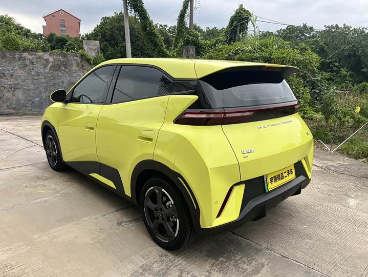 Фото 6 - BYD Seagull