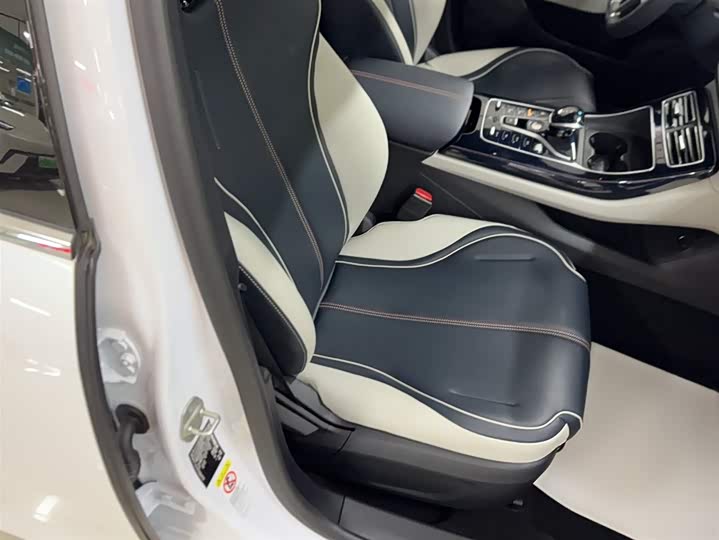 Фото 4 - BYD Qin Plus