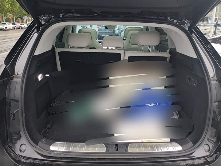 Фото 4 - Exeed Sterra ET