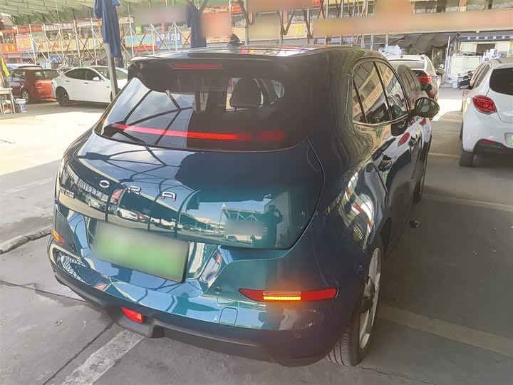 Фото 7 - Ora Good Cat (03)