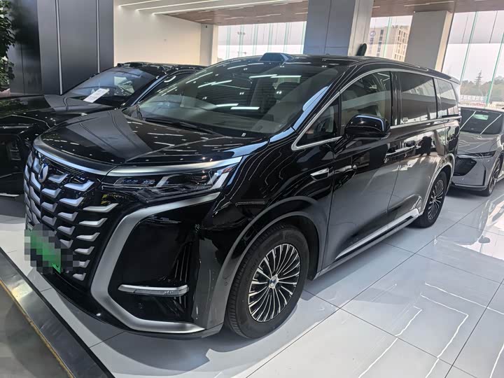 Фото 1 - Denza D9