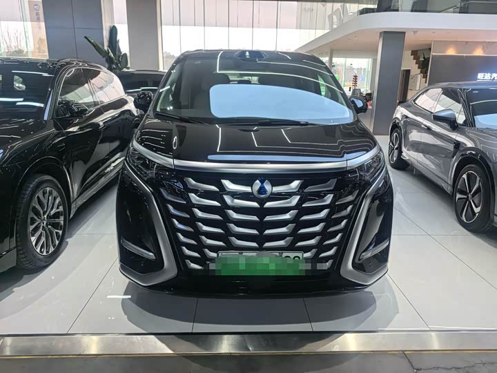 Фото 2 - Denza D9