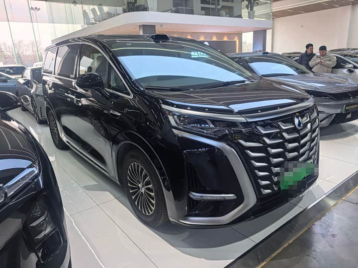 Фото 3 - Denza D9