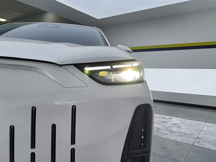 Фото 5 - Chery Fulwin T9