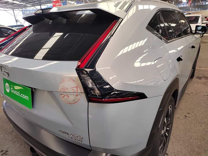 Фото 8 - GAC Trumpchi Emkoo