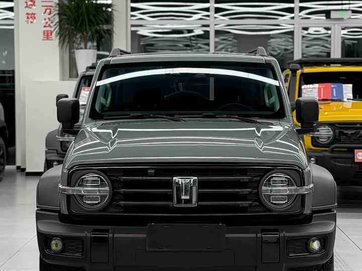 Фото 2 - Tank 300