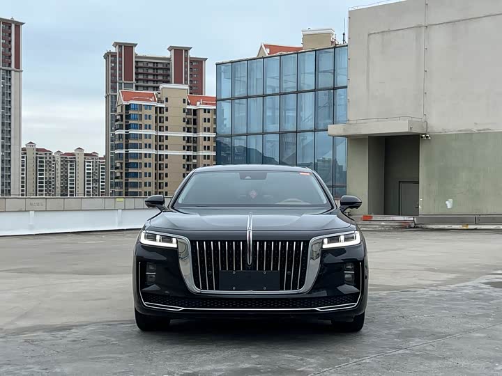 Фото 2 - Hongqi H9