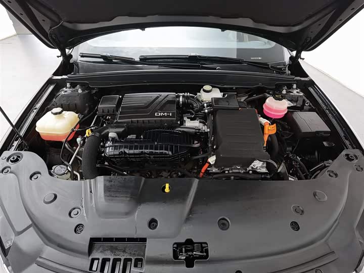 Фото 6 - BYD Qin Plus