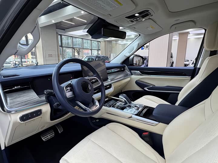 Фото 3 - Great Wall Shanhai Poer