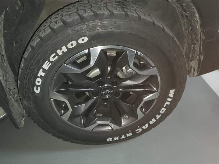 Фото 6 - Haval Dargo