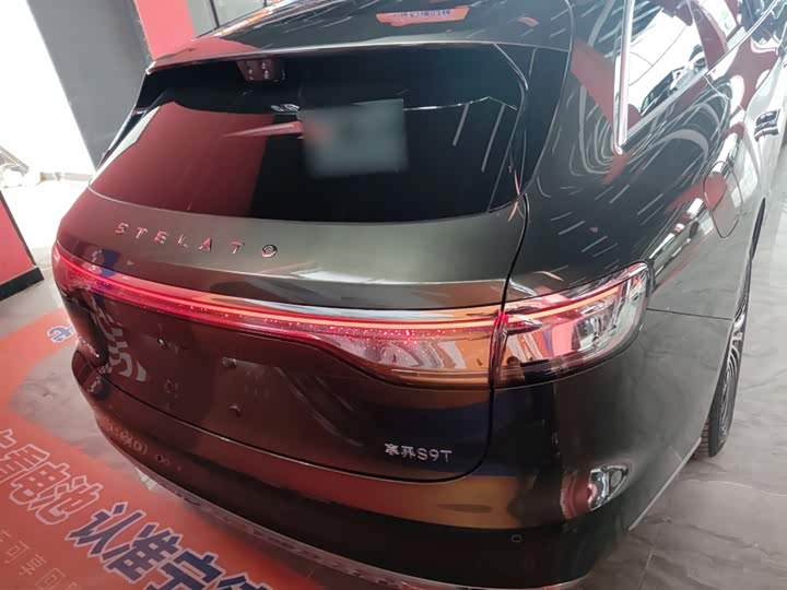 Фото 6 - Stelato S9T