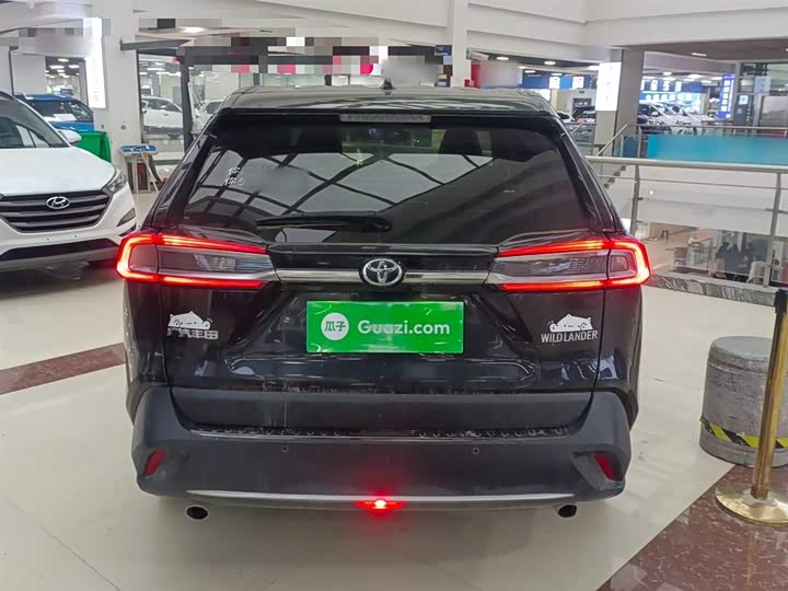 Фото 6 - Toyota Wildlander