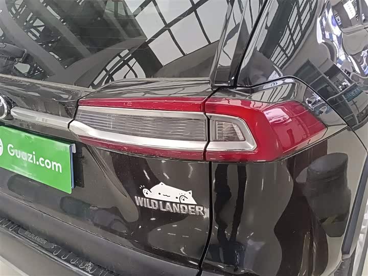 Фото 8 - Toyota Wildlander