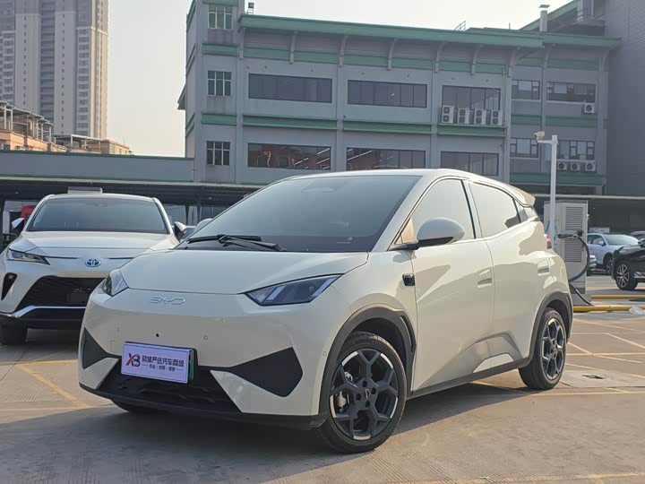 Фото 1 - BYD Seagull