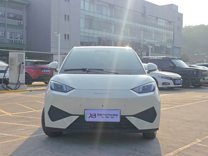 Фото 2 - BYD Seagull