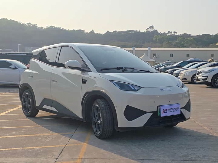 Фото 3 - BYD Seagull