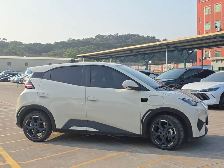 Фото 4 - BYD Seagull