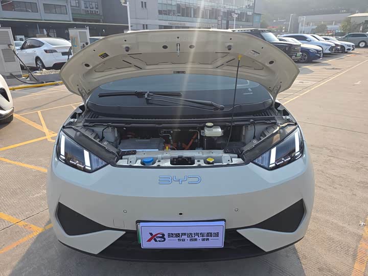 Фото 6 - BYD Seagull