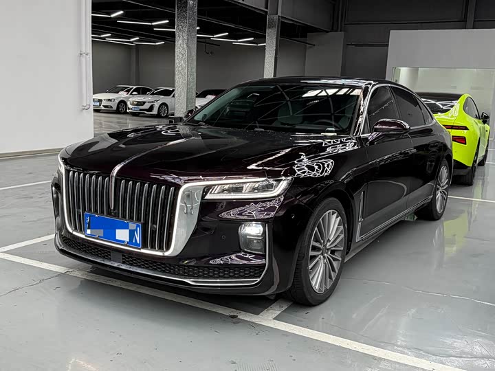 Фото 1 - Hongqi H9