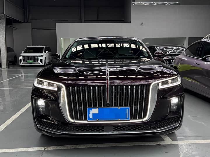 Фото 2 - Hongqi H9