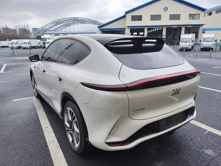 Фото 5 - IM motors LS7