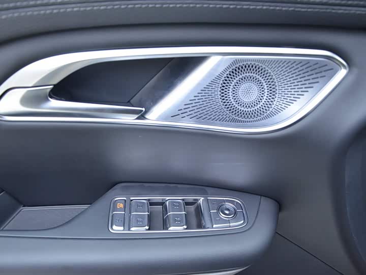 Фото 5 - Hongqi HQ9 Hybrid