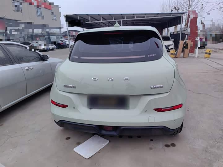 Фото 6 - Ora Good Cat (03)