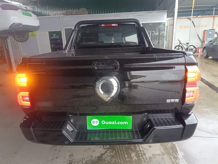 Фото 6 - Great Wall King Kong Poer