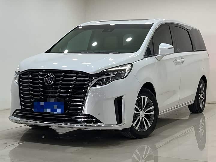 Фото 1 - Buick GL8 ES