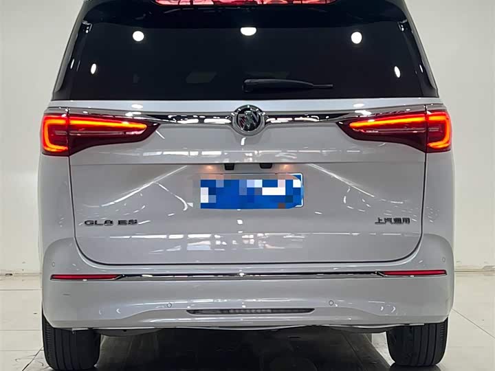 Фото 8 - Buick GL8 ES