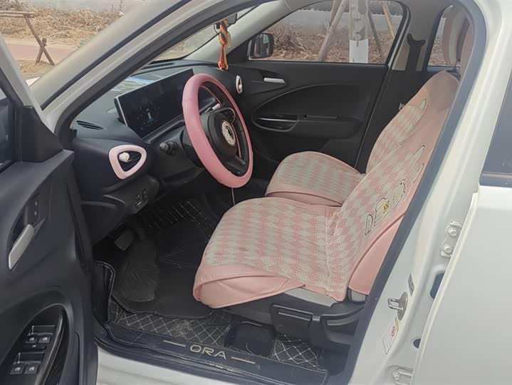 Фото 9 - Ora White Cat