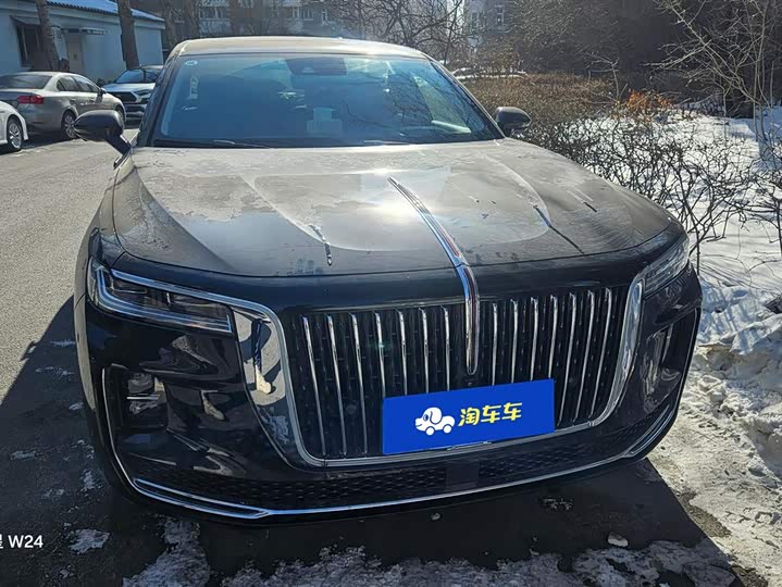 Фото 2 - Hongqi H9