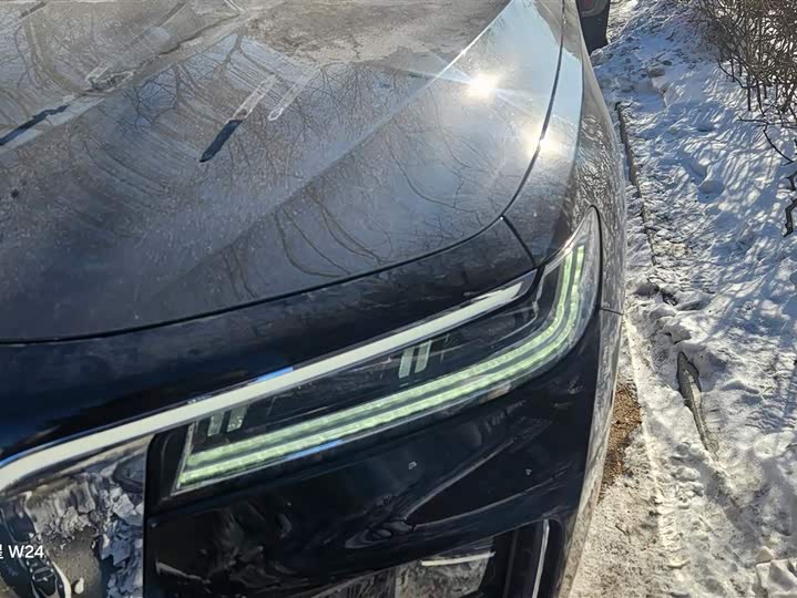 Фото 5 - Hongqi H9