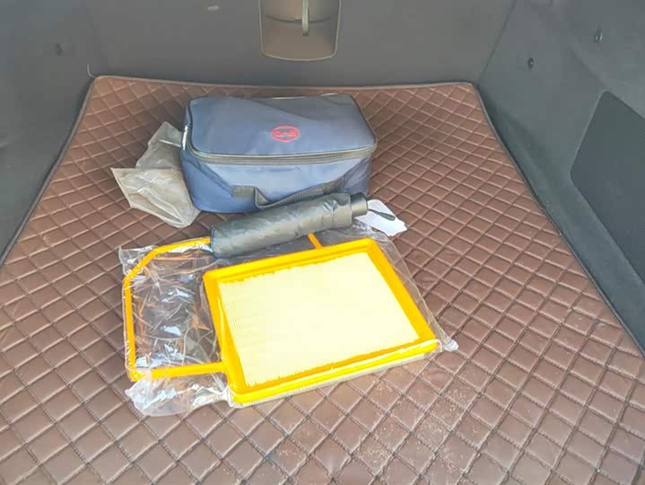 Фото 4 - BYD Han