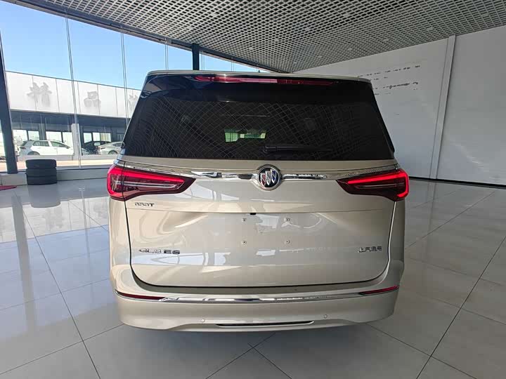 Фото 5 - Buick GL8 ES