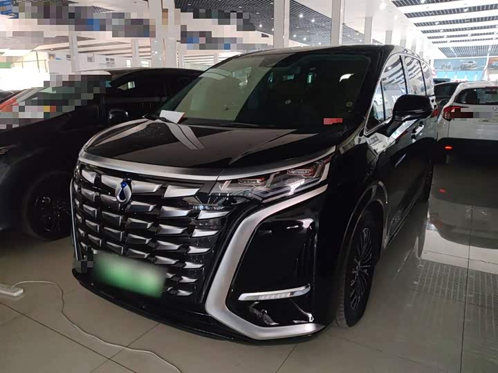 Фото 2 - Denza D9