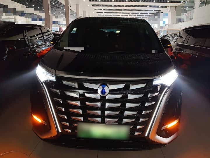 Фото 3 - Denza D9