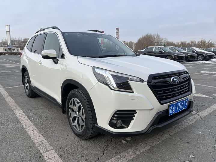 Фото 1 - Subaru Forester