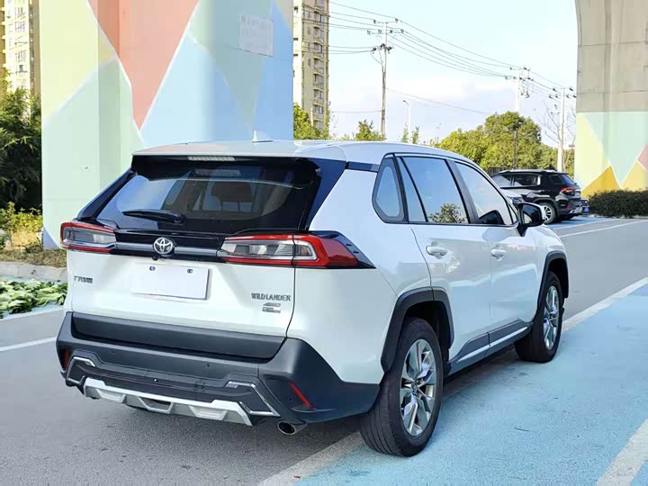 Фото 6 - Toyota Wildlander