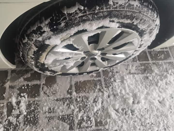 Фото 6 - Nissan Sylphy