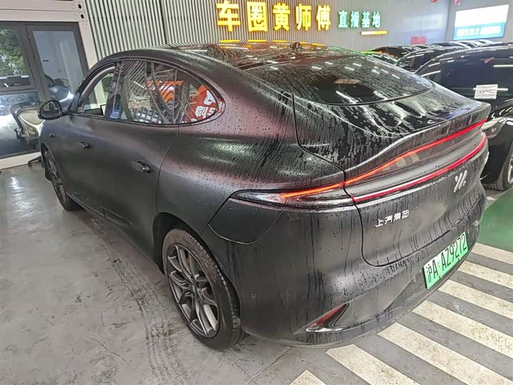 Фото 5 - IM motors LS6