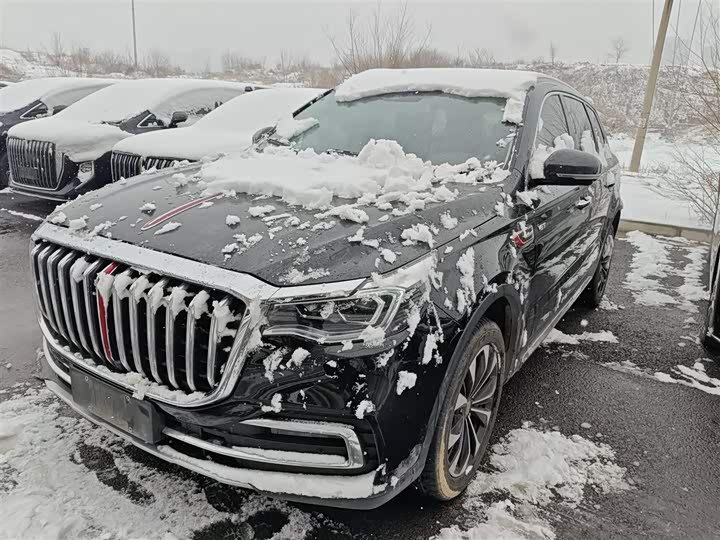 Фото 1 - Hongqi HS7