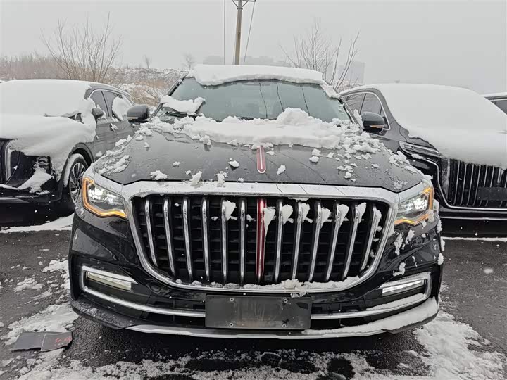 Фото 3 - Hongqi HS7