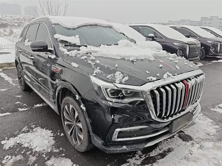 Фото 4 - Hongqi HS7