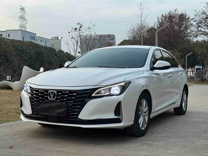 Фото 1 - Changan Raeton CC