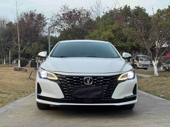 Фото 2 - Changan Raeton CC