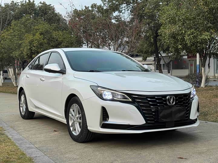 Фото 3 - Changan Raeton CC