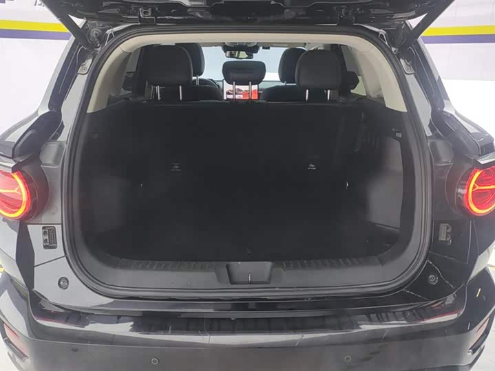 Фото 4 - Haval H-Dog